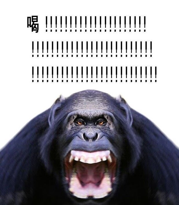 빚갚는미친개 tweet media