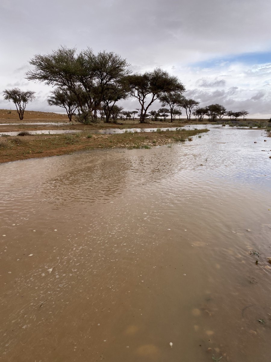 ابوعبدالله الفيصل 70 tweet media