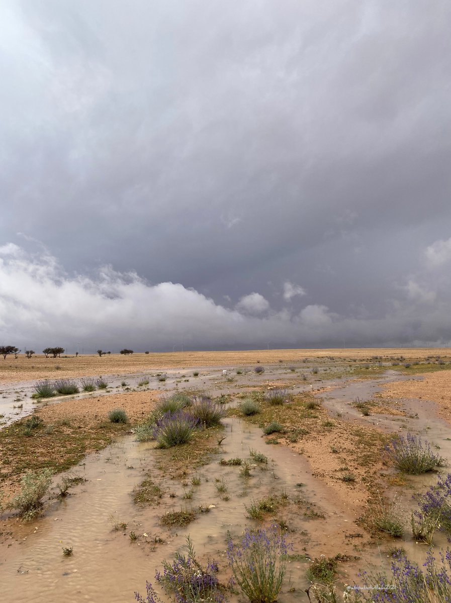 ابوعبدالله الفيصل 70 tweet media