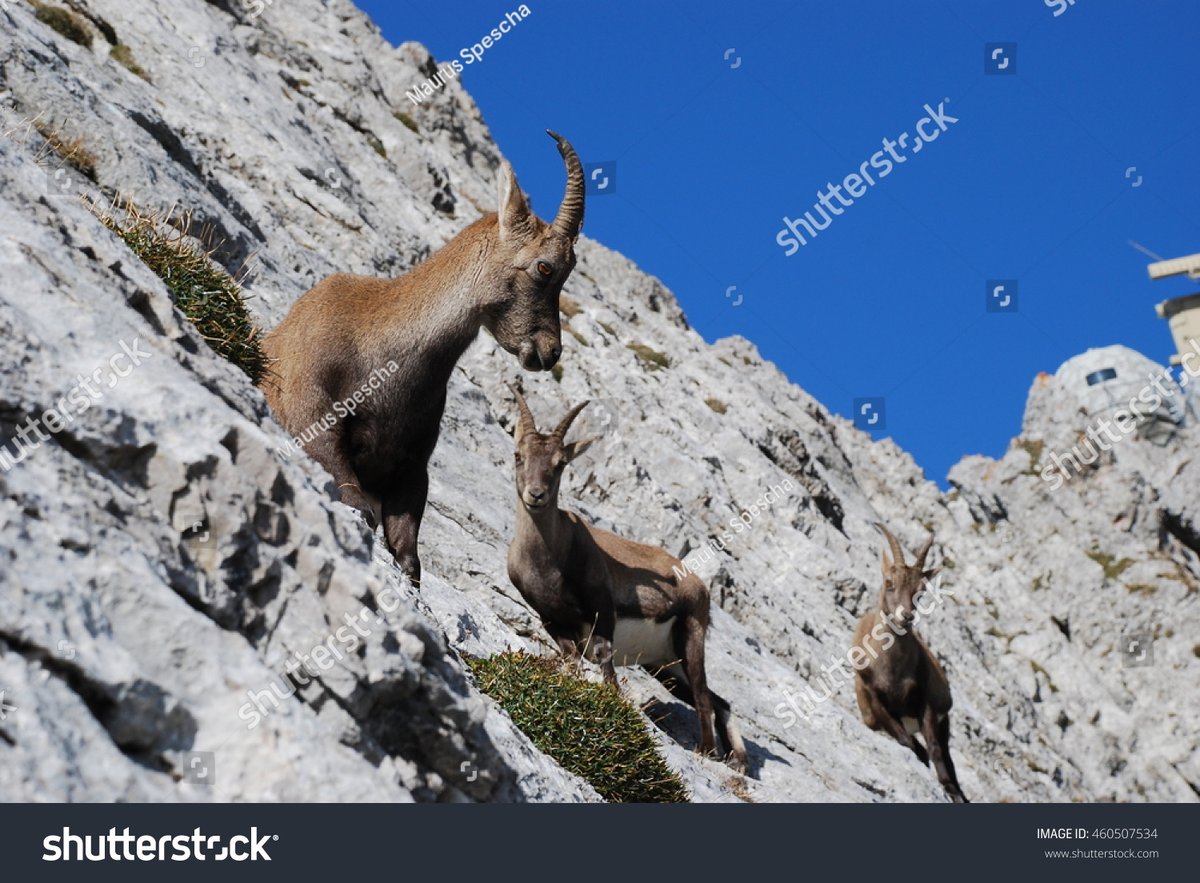 Pierre-Olivier Mériz tweet media