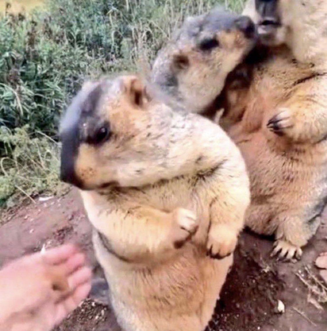 Hun❤️‍🔥 tweet media