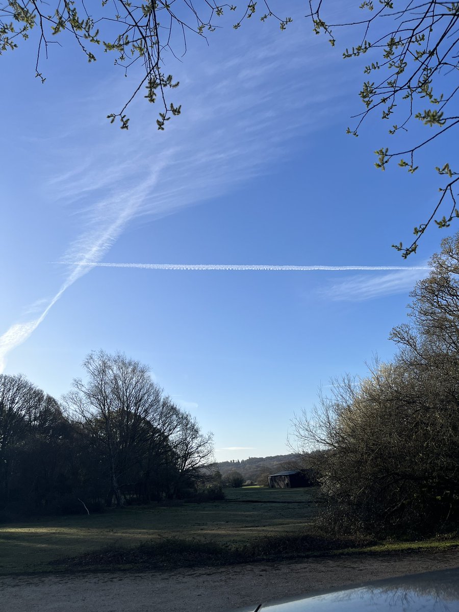 Nathan 🇬🇧 tweet media