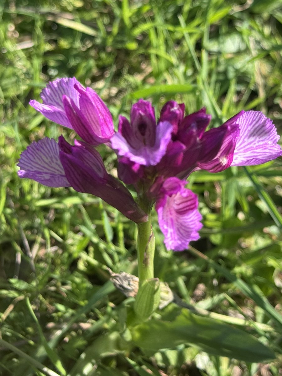 JOSE MARIA tweet media