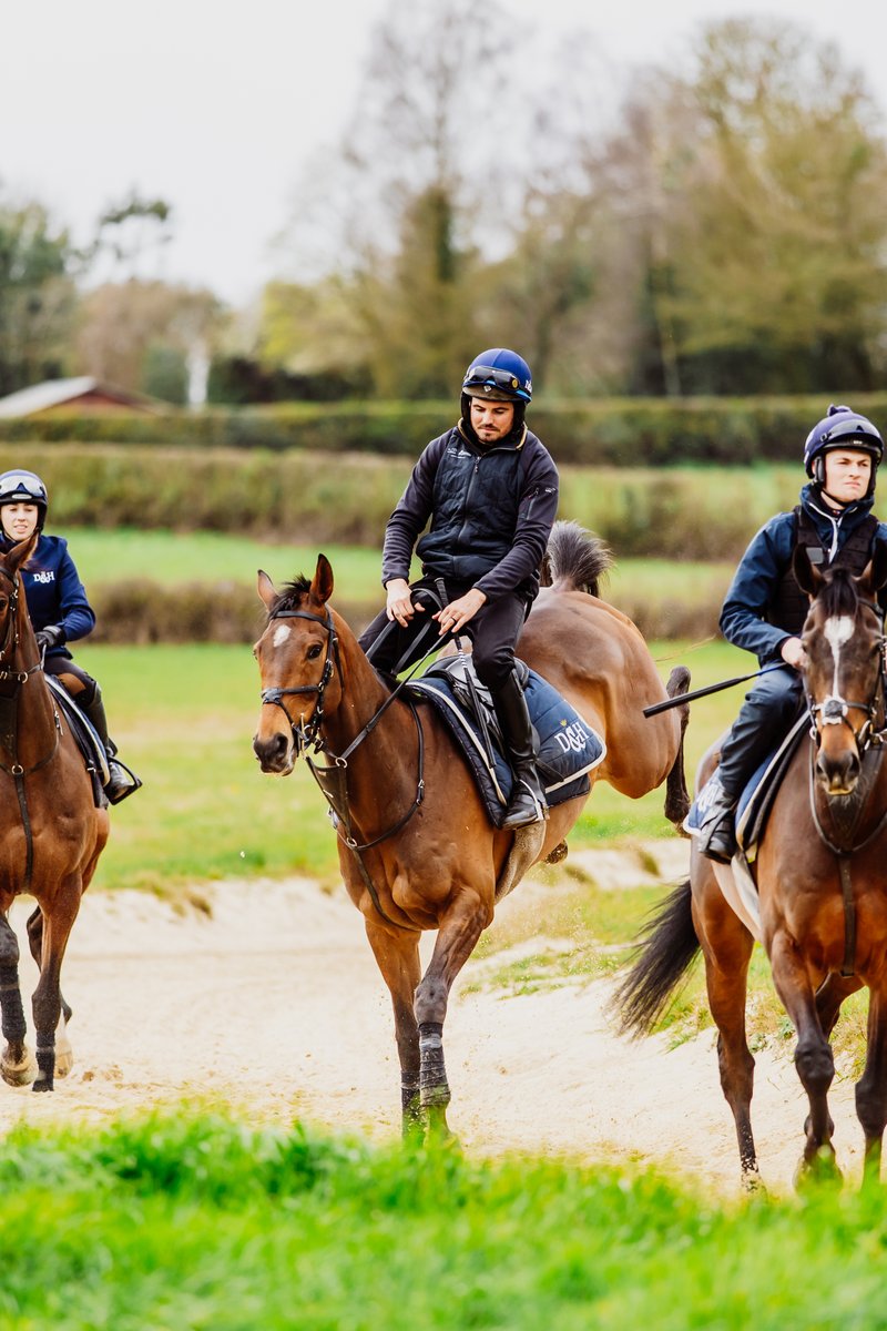 AintreeRaces's tweet photo. Iroko looking VERY well ahead of the @RandoxHealth Grand National 😍 https://t.co/sF1NJ61So1