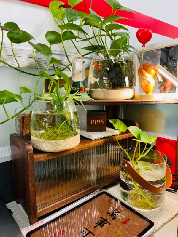 Никита tweet media