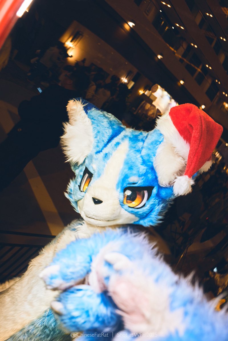 Link翎可 🔜 🛏️ tweet media