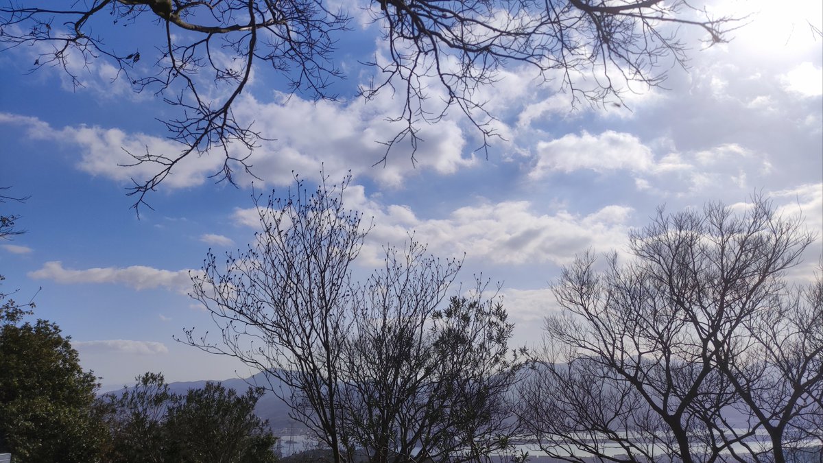 Jenn Tamburlin tweet media