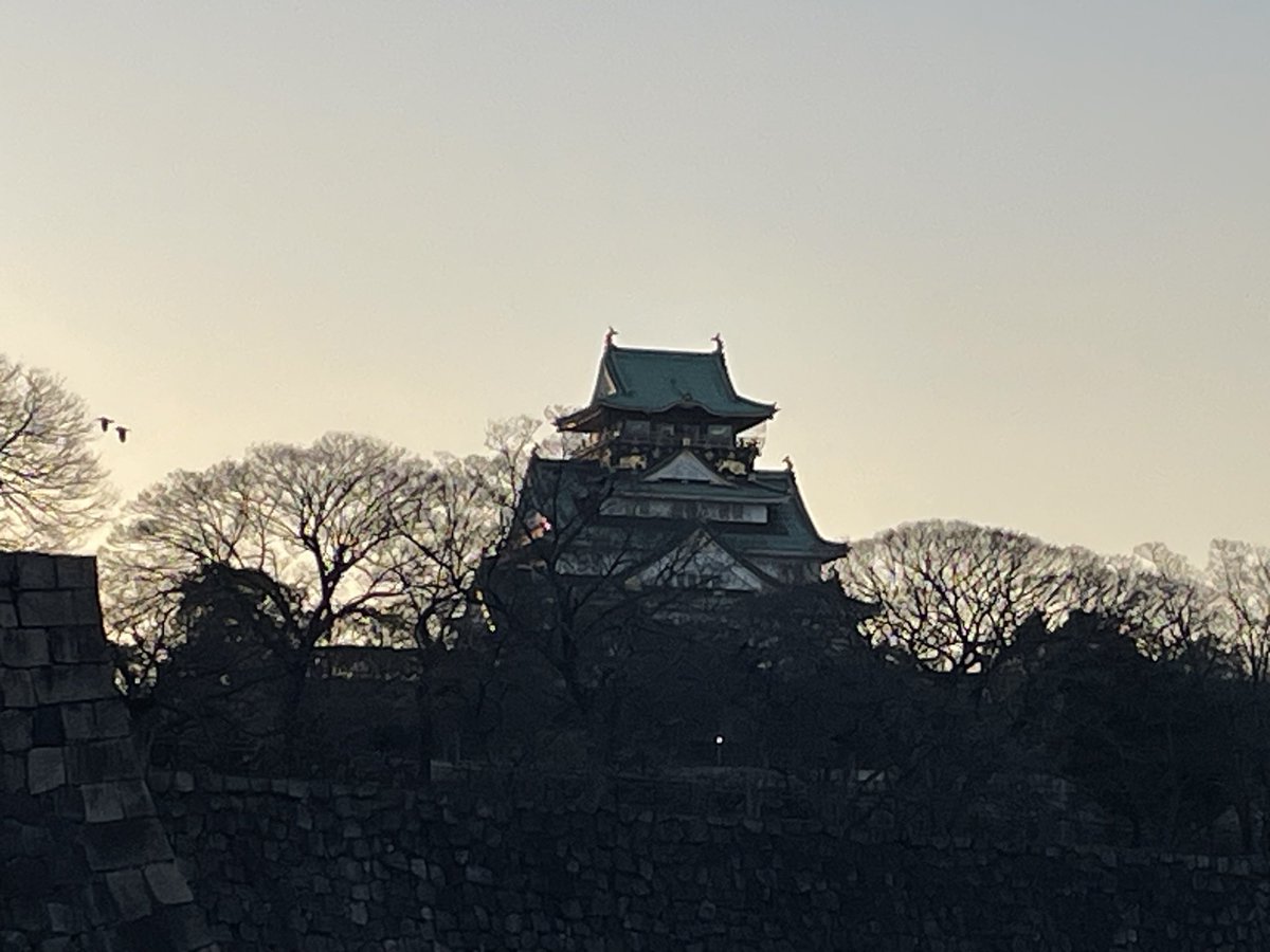 kazu555777's tweet photo. #大阪城公園 #2026年3月26日 #桜
折角なので散歩🌸😊🌸 https://t.co/tIqzZzT9P7