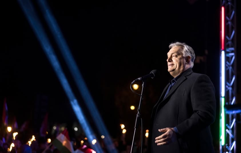 STOP praniu mózgów 🦅 tweet media