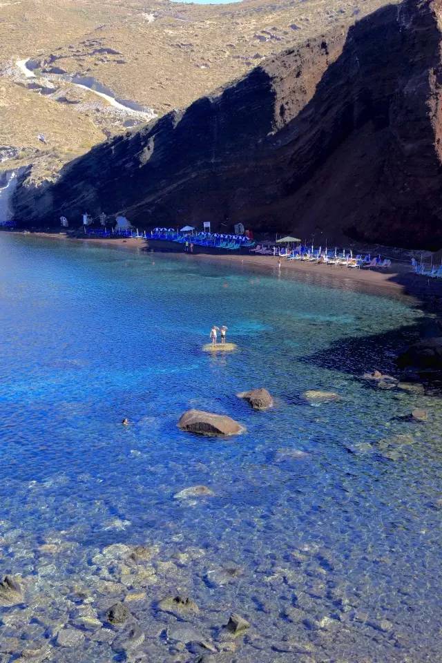 College W.S. tweet media