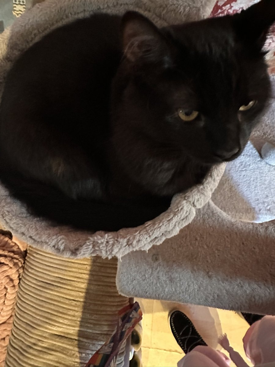 Butch And Sundance tweet media