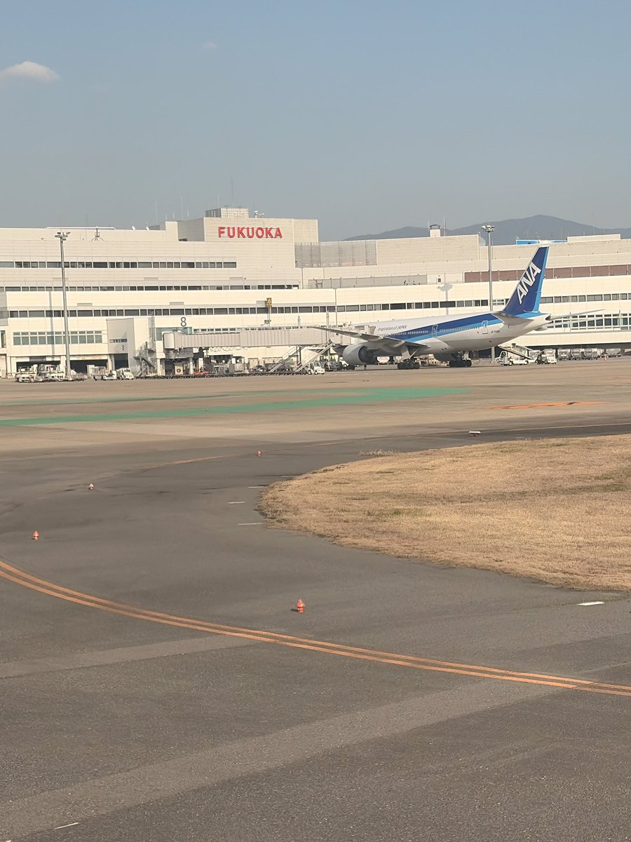 有坂優梨 tweet media