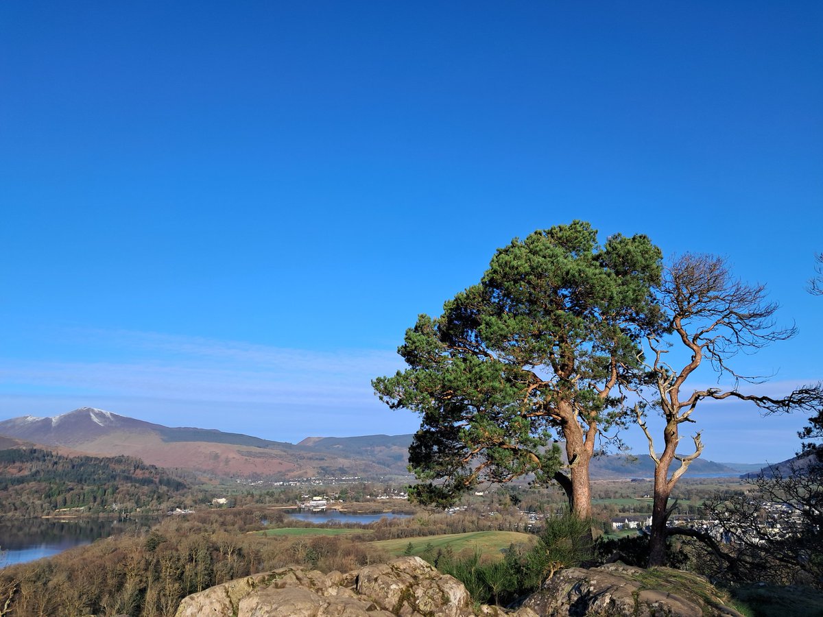 Linnett Hill tweet media