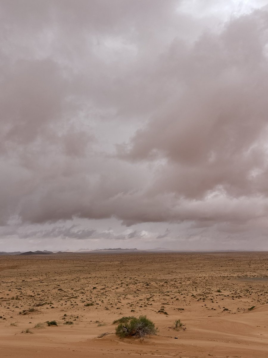 بندر الشمري tweet media