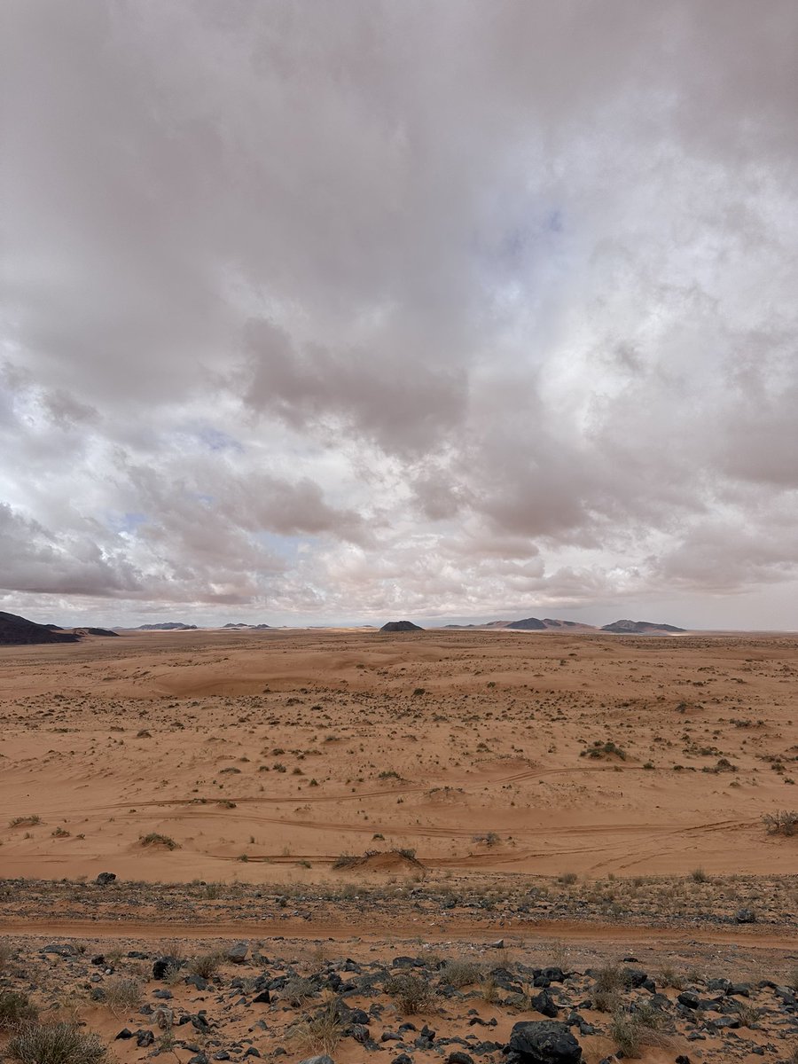 بندر الشمري tweet media