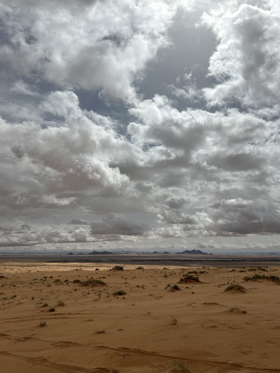 بندر الشمري tweet media