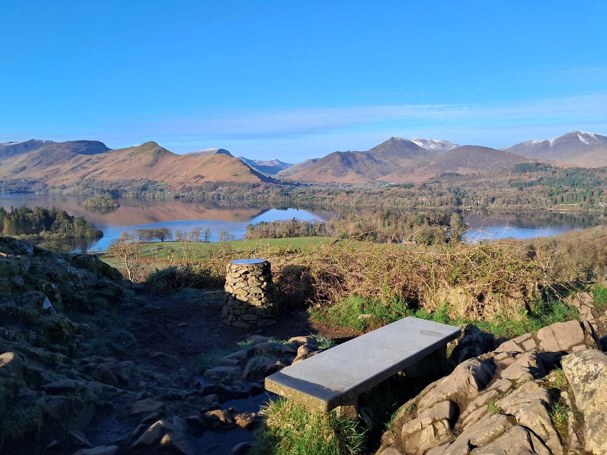 Linnett Hill tweet media