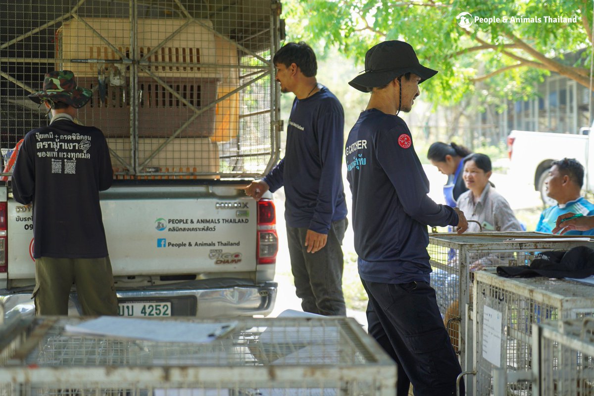 People & Animals Thailand tweet media