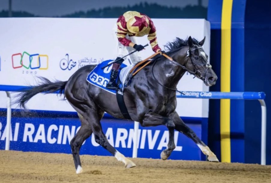 sultan | 🇰🇼 سلطان عايد الشمري tweet media