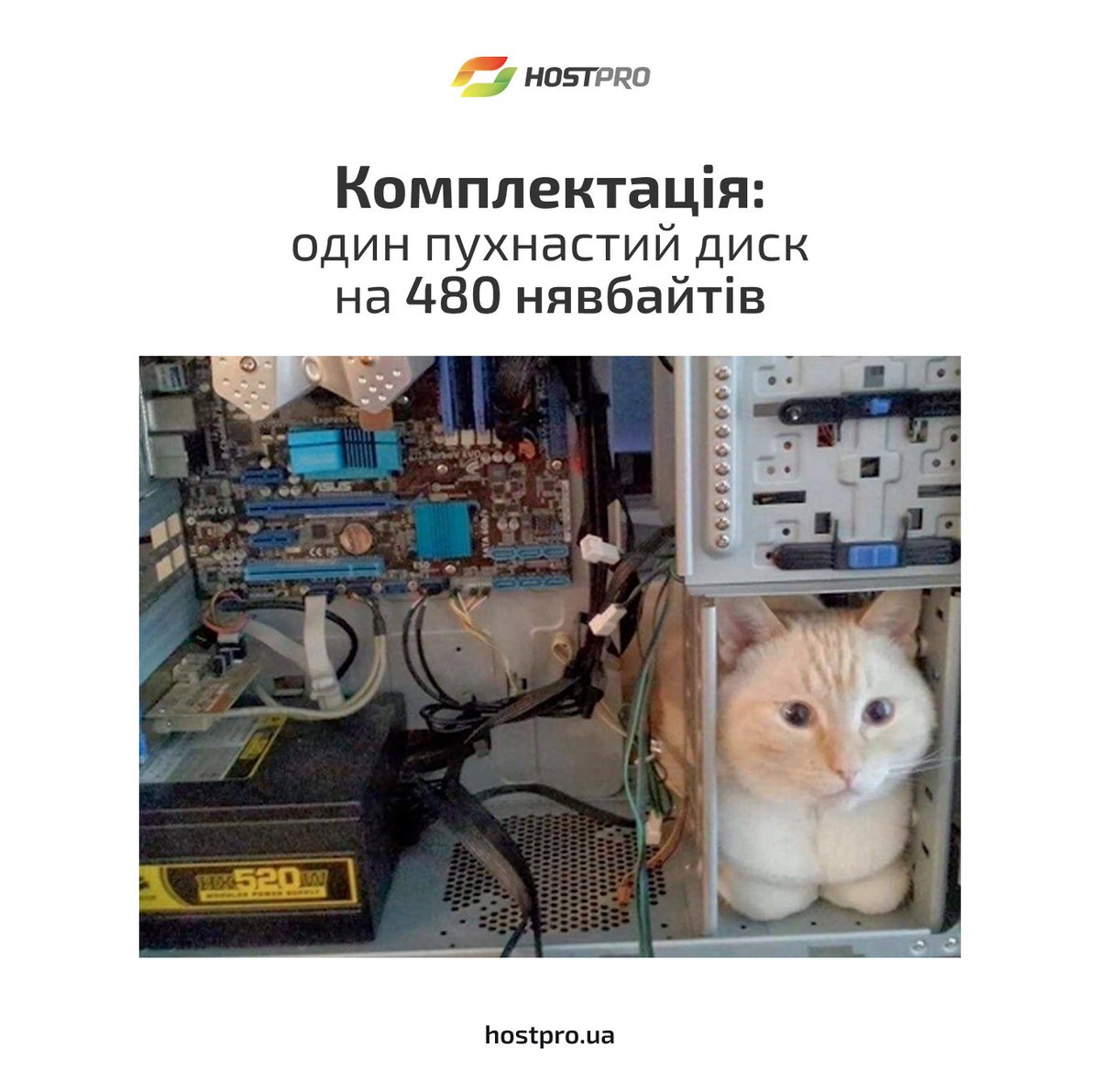 HostPro.ua tweet media