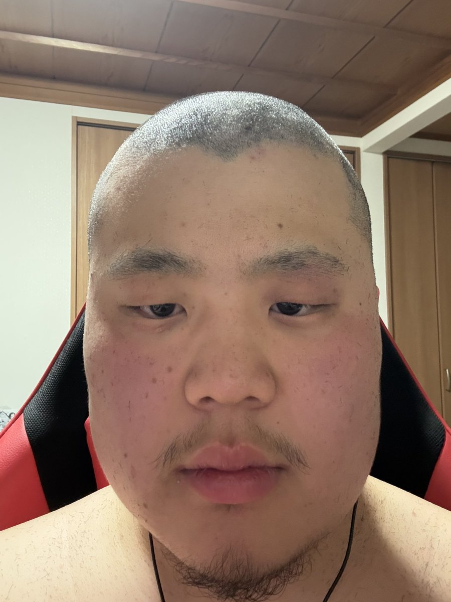 わしぴっくす@ドスコイネオン tweet media