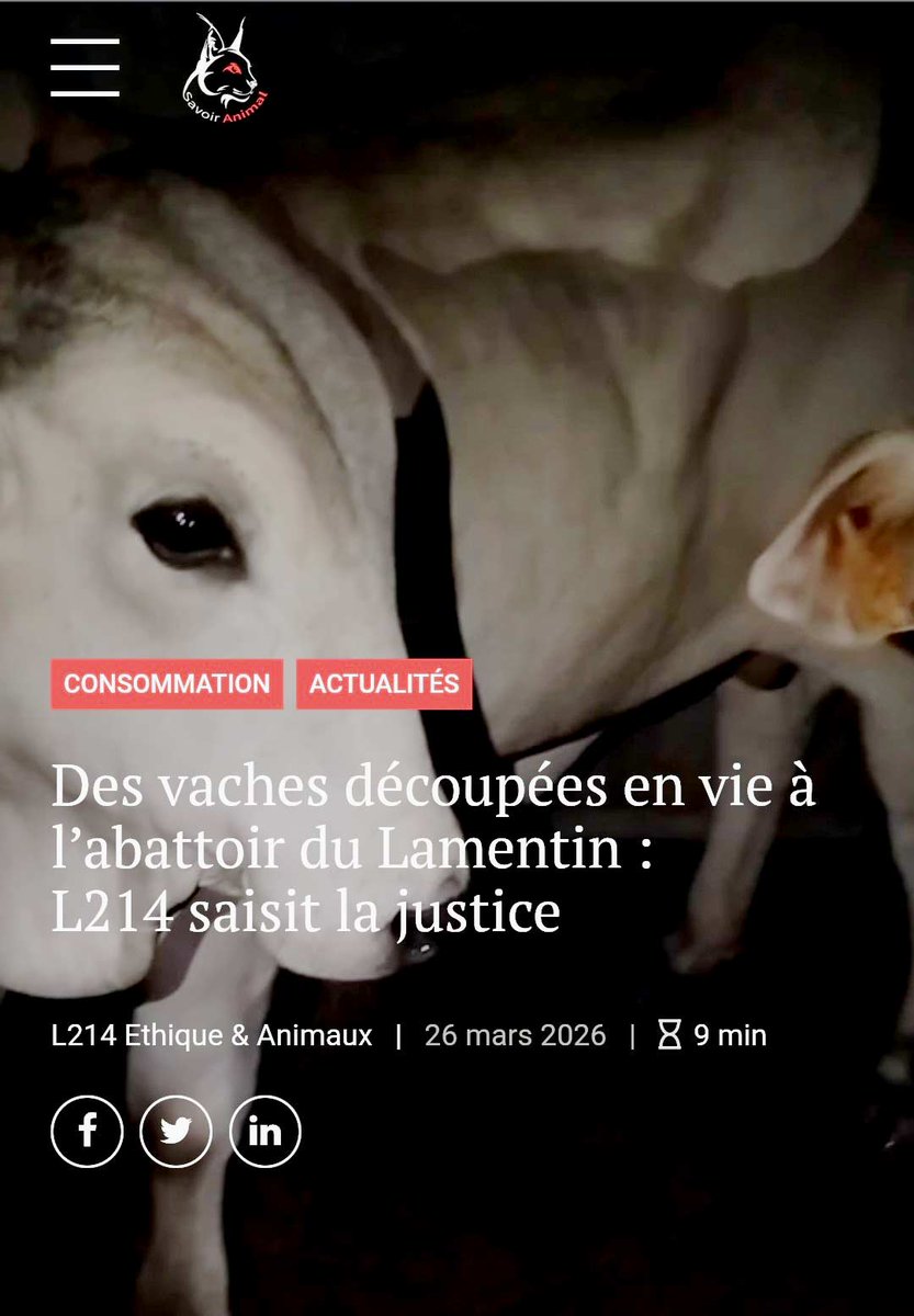 Savoir Animal, Le Magazine des Animaux tweet media