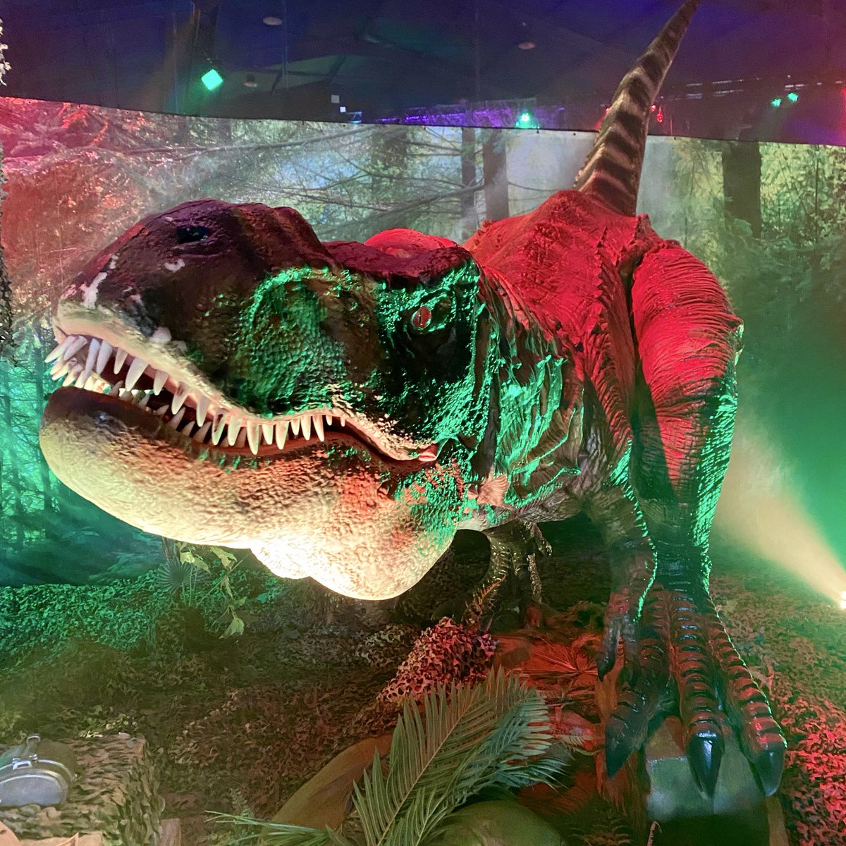 Bjl_Fans's tweet photo. De dino’s keren terug in een vernieuwd jasje: Land of Dinos 🦖
Tussen 7 mei en 14 juni kan je de vernieuwd expositie ontdekken rond het Reuzenrad en Land of Legends. 🦕 #Bobbejaanland https://t.co/U4rVSEHZaZ