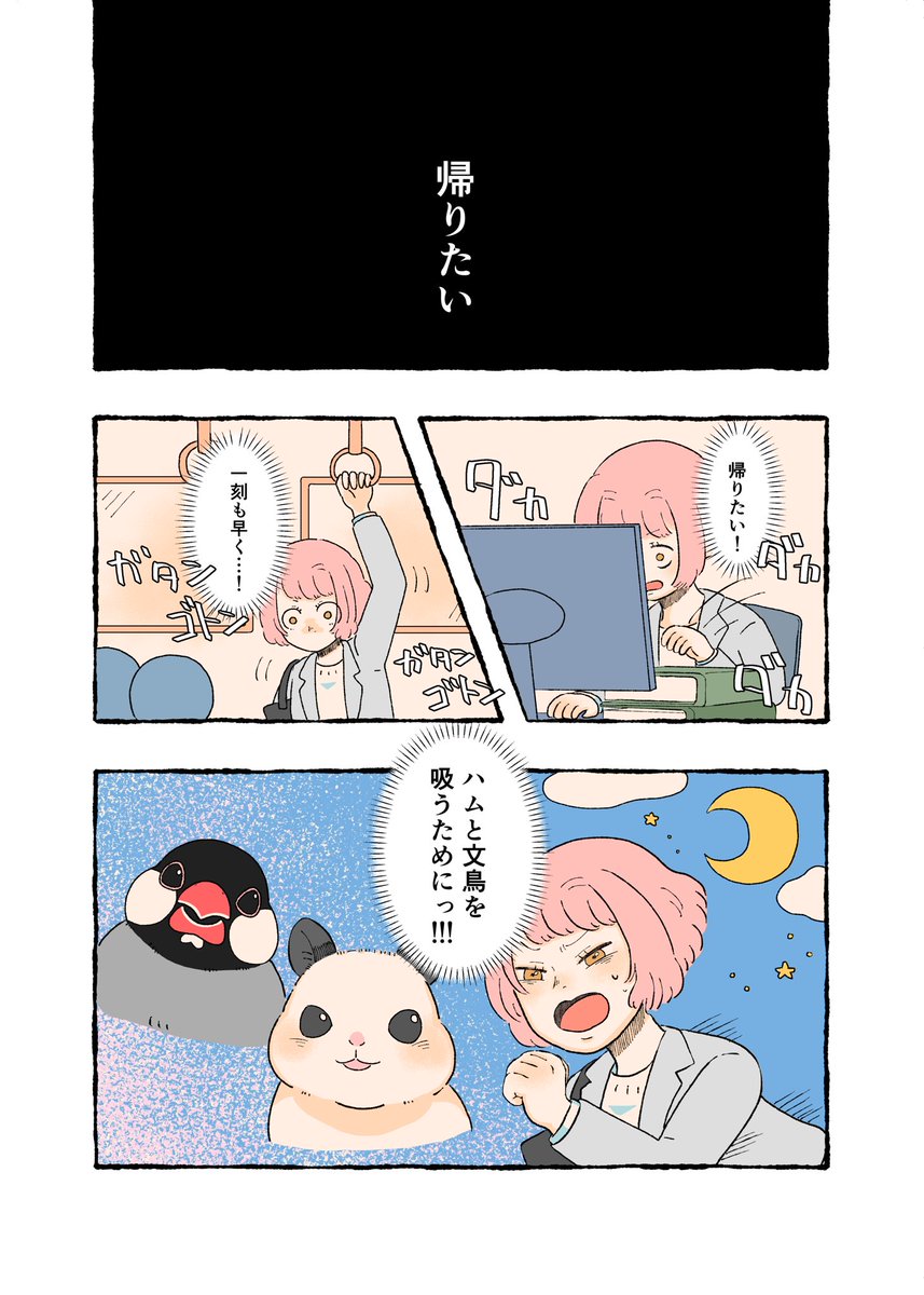 nosita0909's tweet photo. ハムスターと文鳥がお手伝いを頑張る話🐹🐥
(1/4)

#漫画が読めるハッシュタグ https://t.co/xiZ4A9oXsG