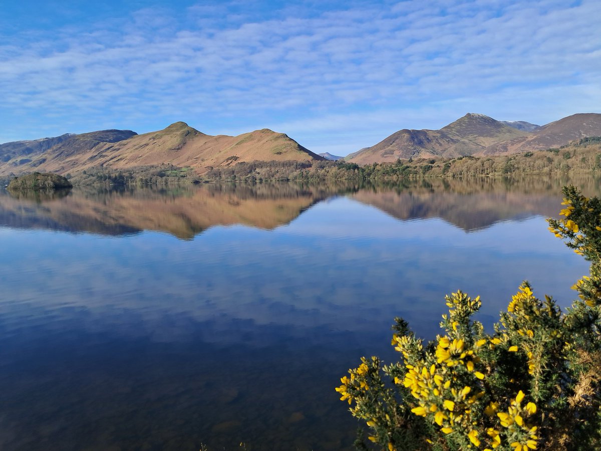 Linnett Hill tweet media