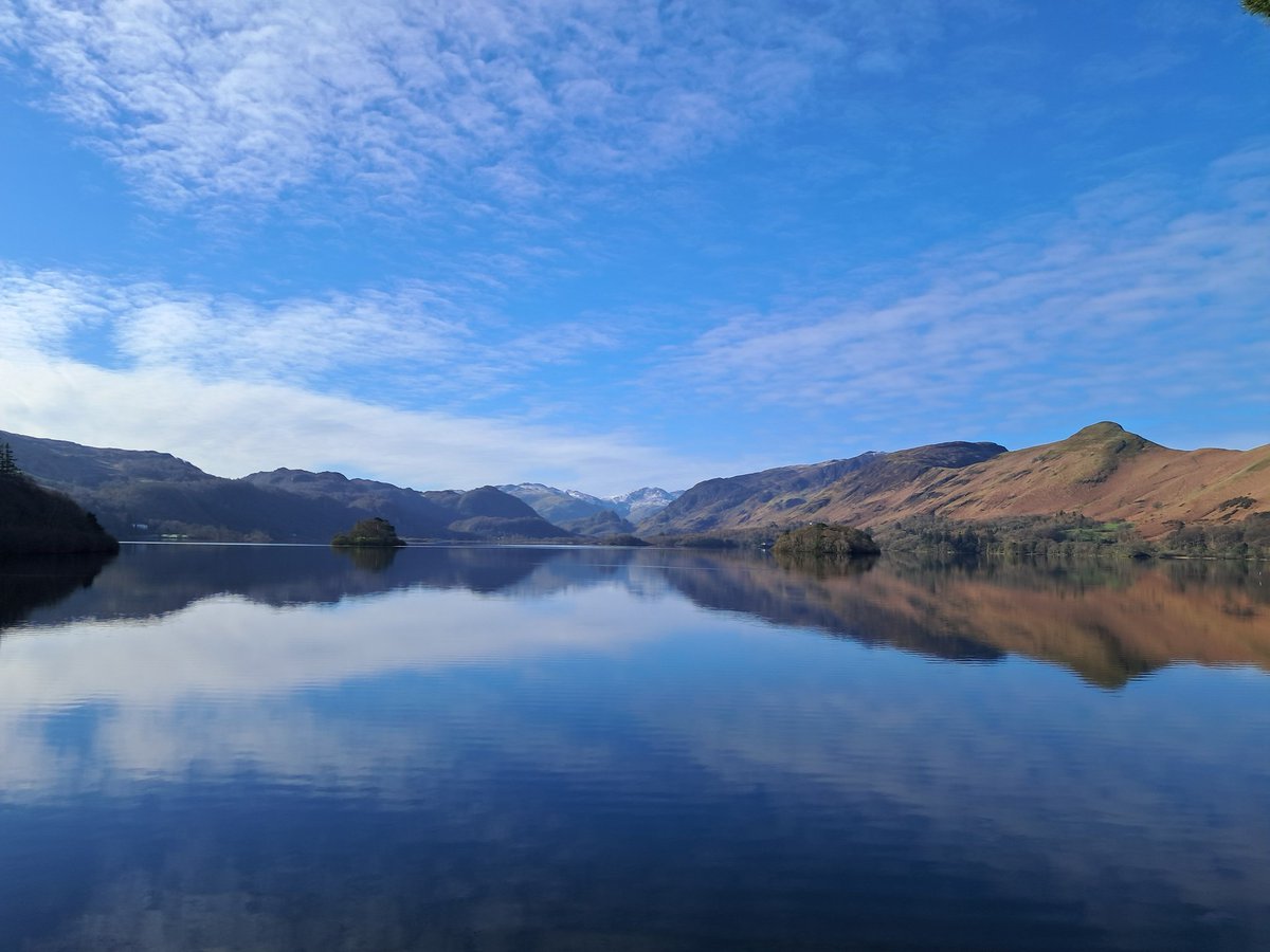 Linnett Hill tweet media