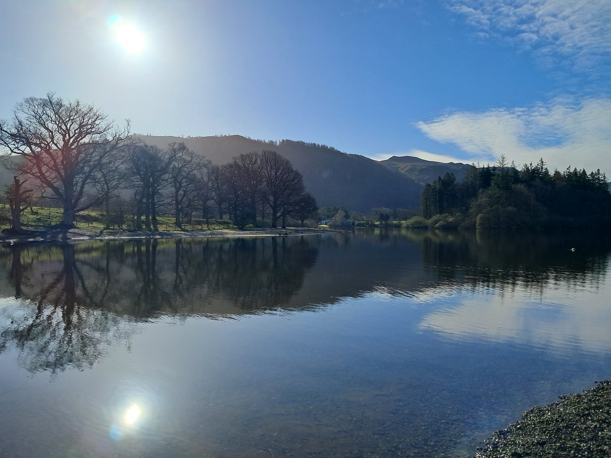 Linnett Hill tweet media