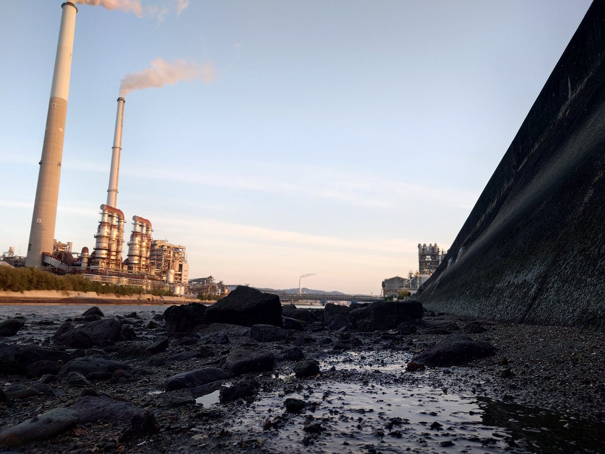 黒い３ tweet media