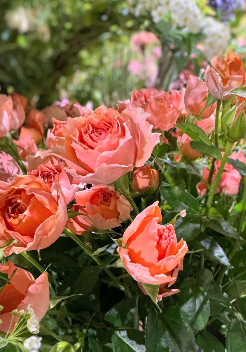 なおみ2022 tweet media