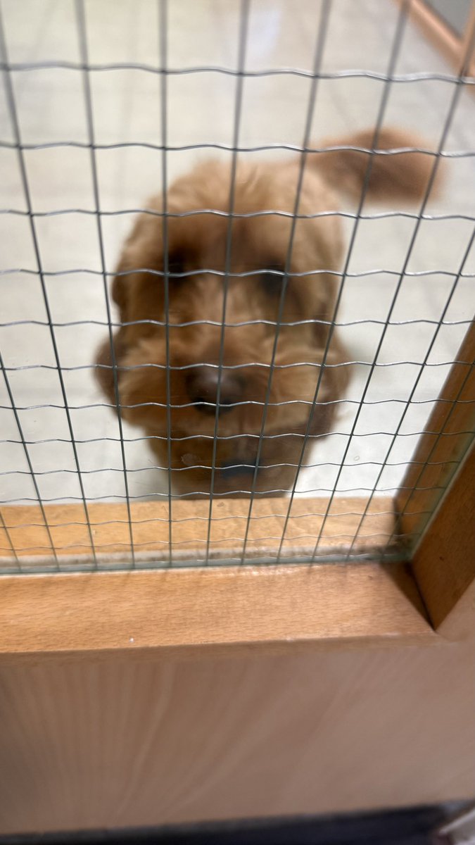 H Esa 22c 🍉🥃 tweet media