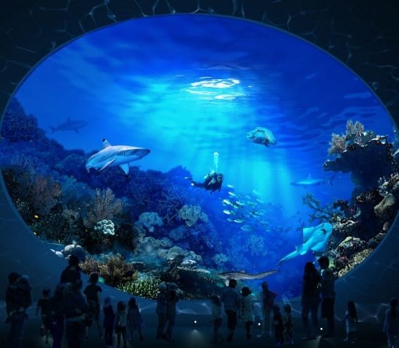 由太@平日レイヤーさん募集中 tweet media