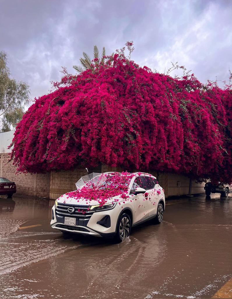 Purely Green tweet media