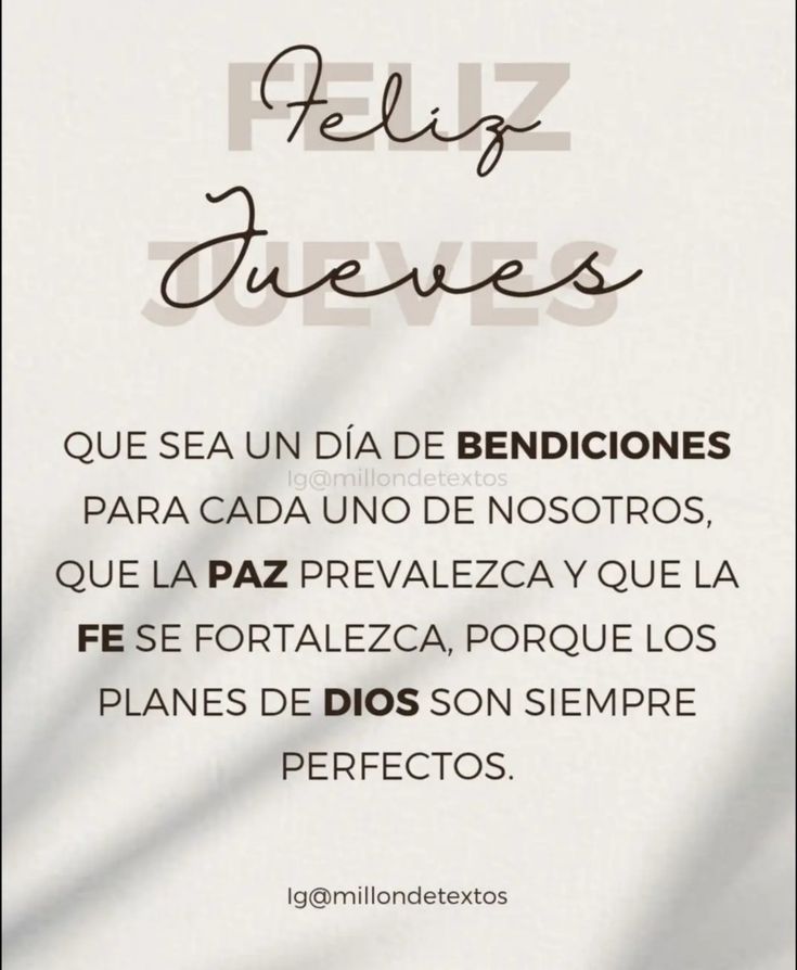 Princesa Jazmín 💫💜🙌🏾 tweet media