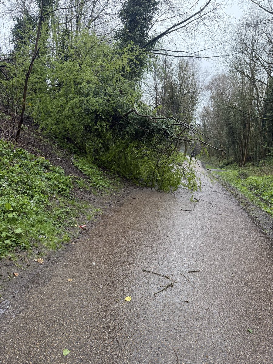 chloeb12345's tweet photo. @SalfordCCHelp not sure if this has already been reported but a tree has fallen on the loop line between parsonage road and the swimming baths exit https://t.co/tdFtr9e25p