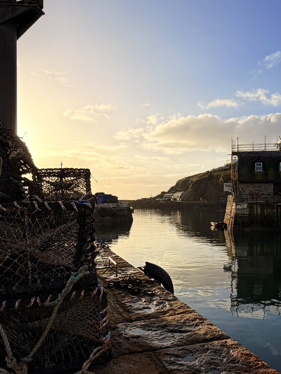 Gawain Towler tweet media