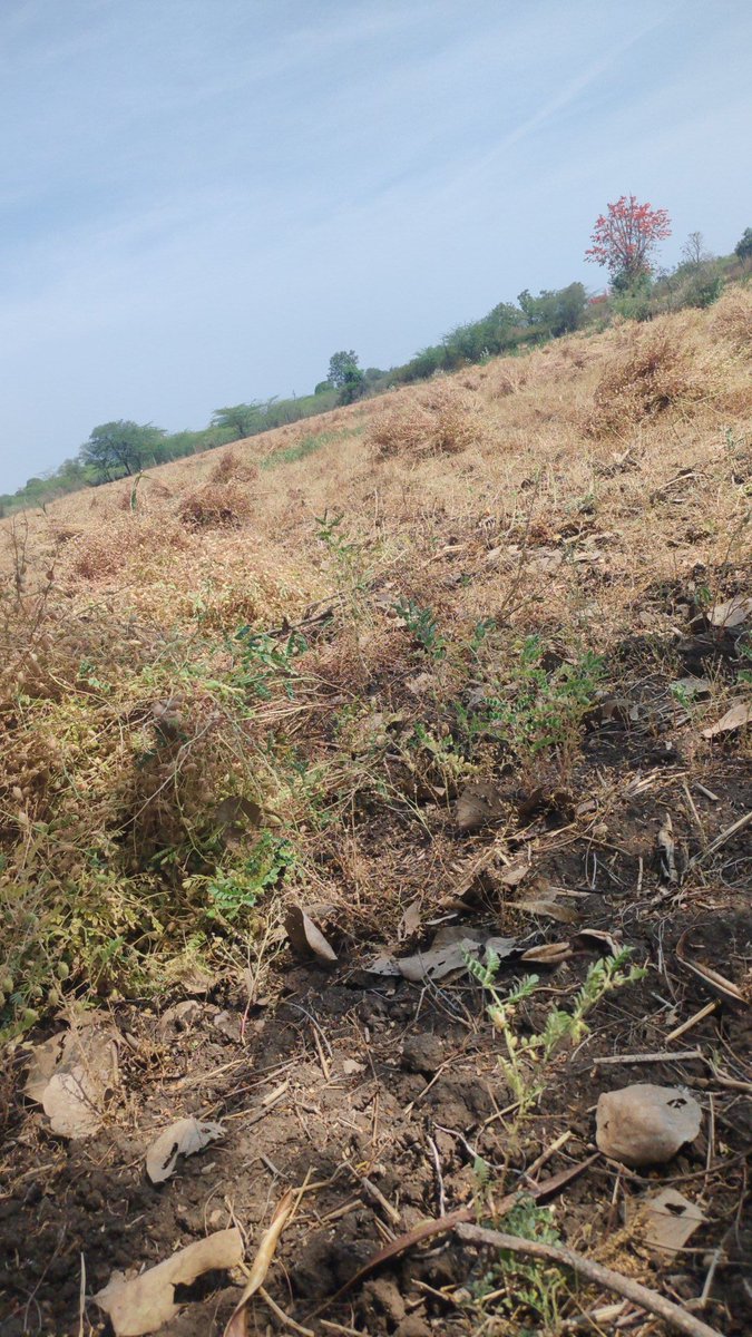 DR_SiR_99 tweet media