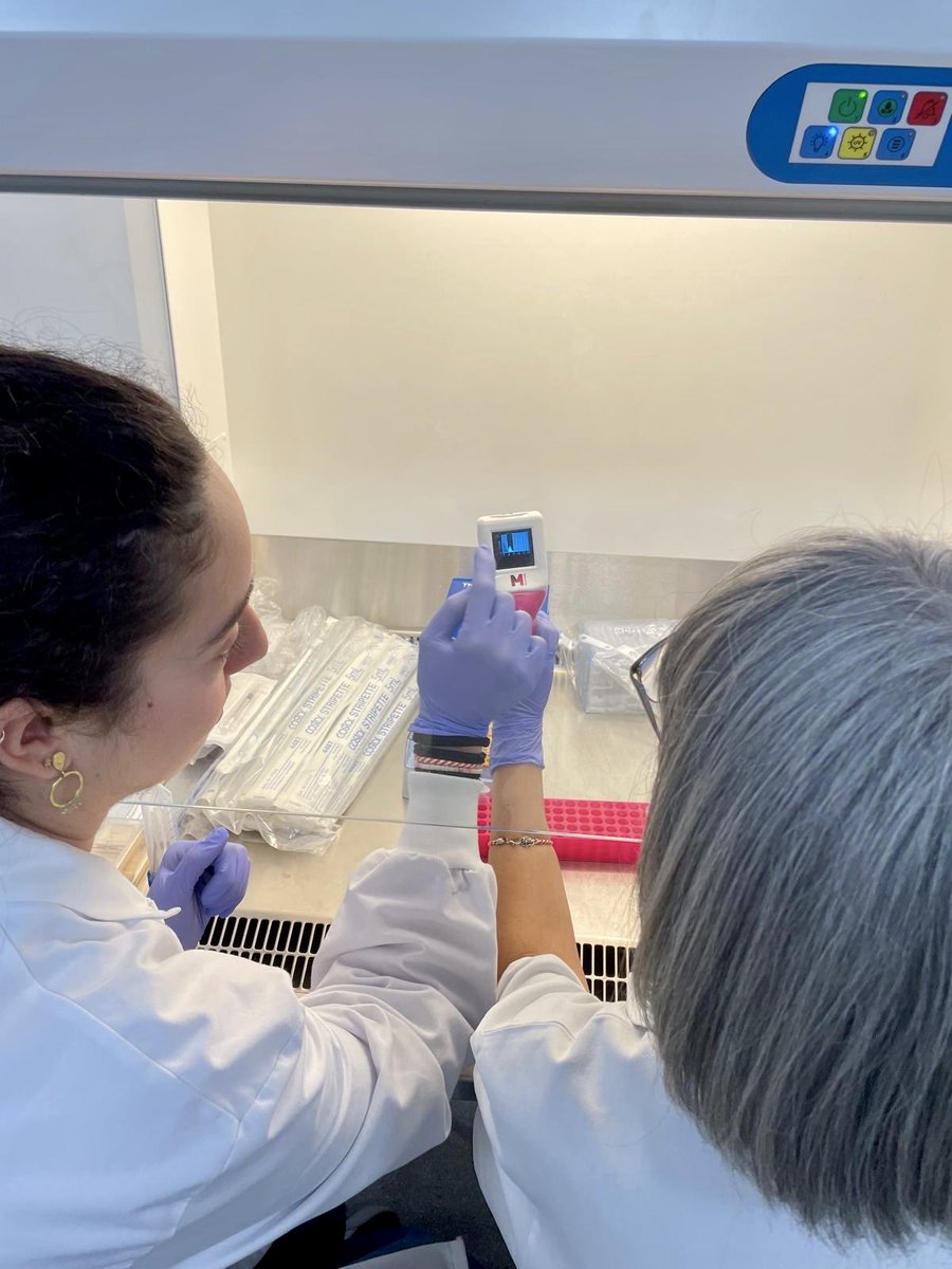 Oneandahalf_Lab's tweet photo. March 24th was World #TBDay , but TB impacts lives every day.

That’s why we keep pushing research forward:

1.Medical &amp; lab teams from #MariusNastaInstitute 🇷🇴

2.@carlamr27 &amp; Dr. Panciu working on the #TBSPECTRUM clinical study

3.#PBMC isolation training

@GTRecerca #MSCA https://t.co/3wc8qwf9iX