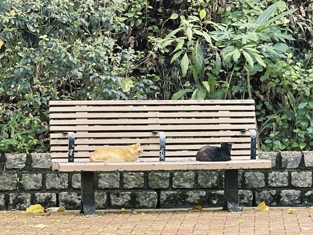 Emma Roth tweet media