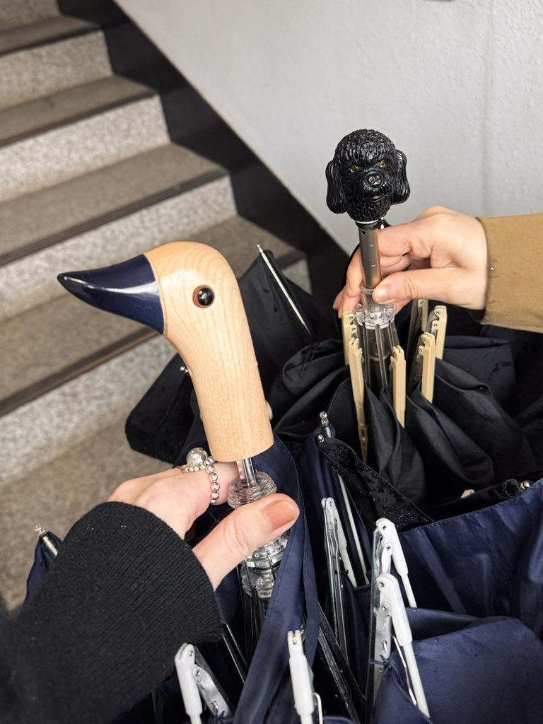 大谷 有紀 tweet media