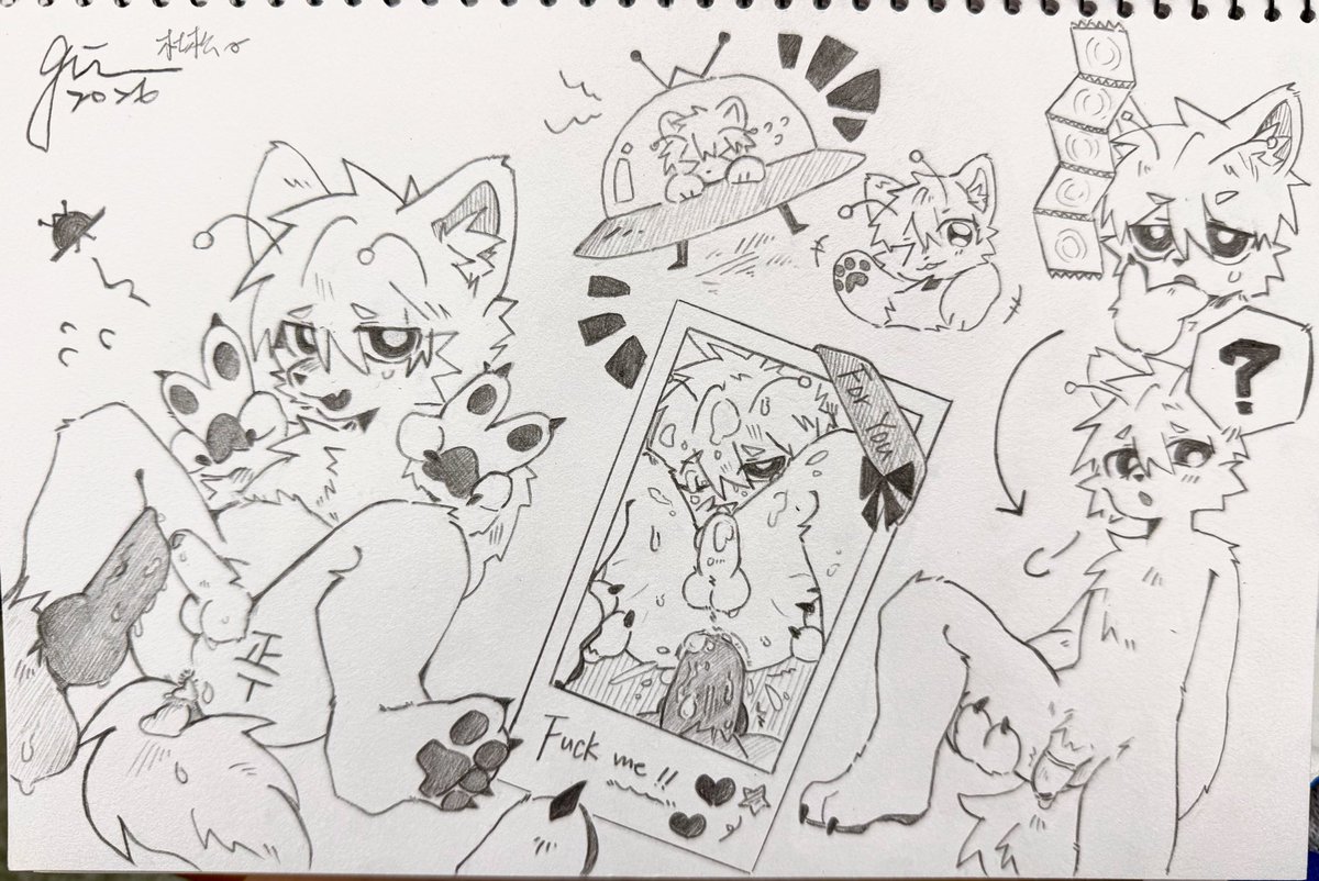 杜松Gin tweet media