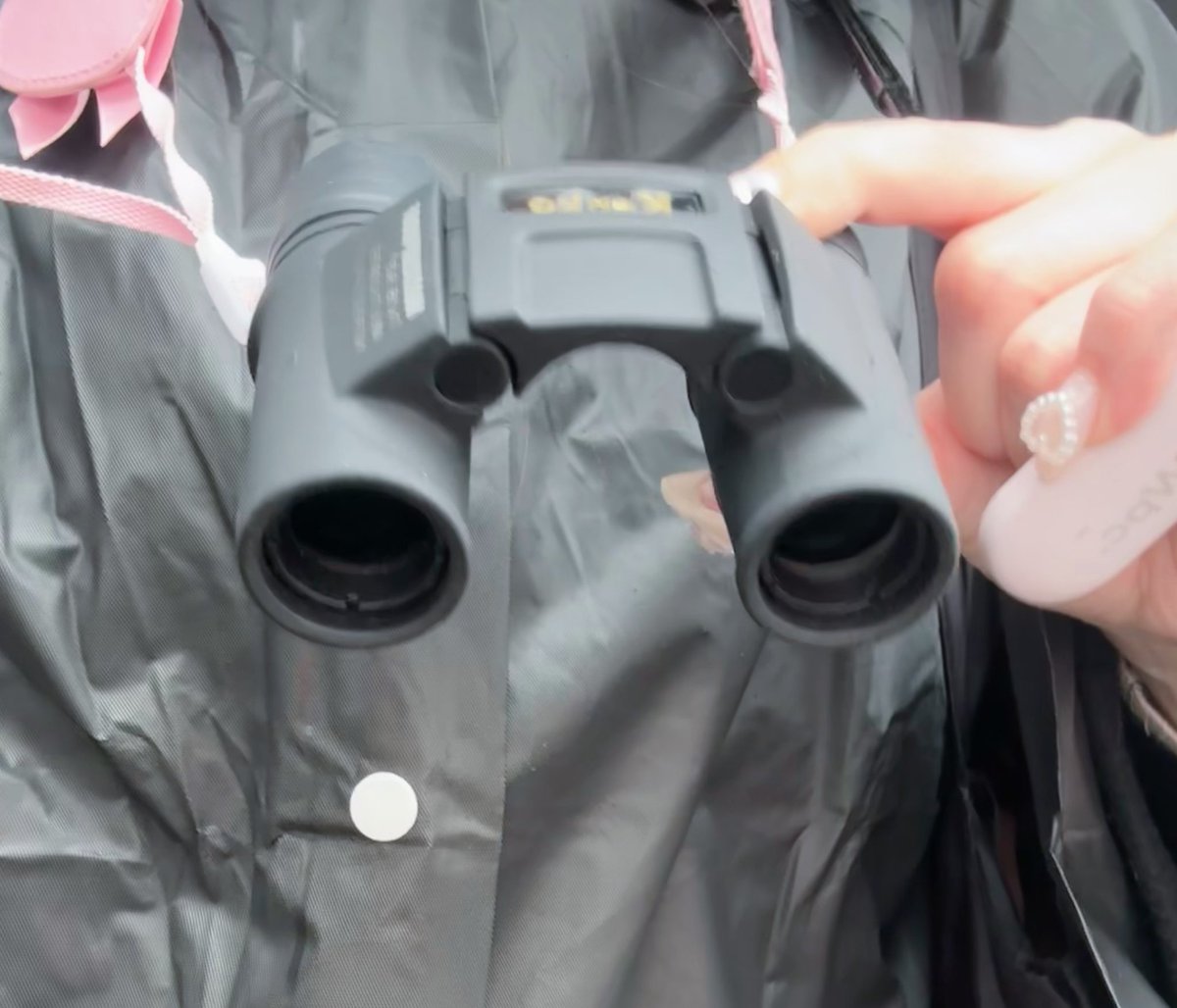 𝑆𝑎 🐨⋆꙳ tweet media