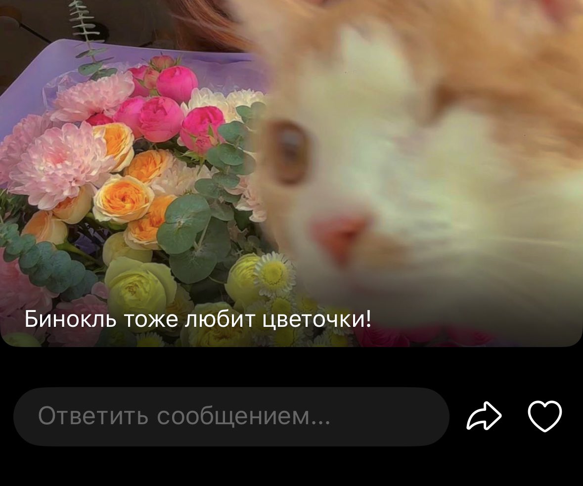 а$е4к@ tweet media