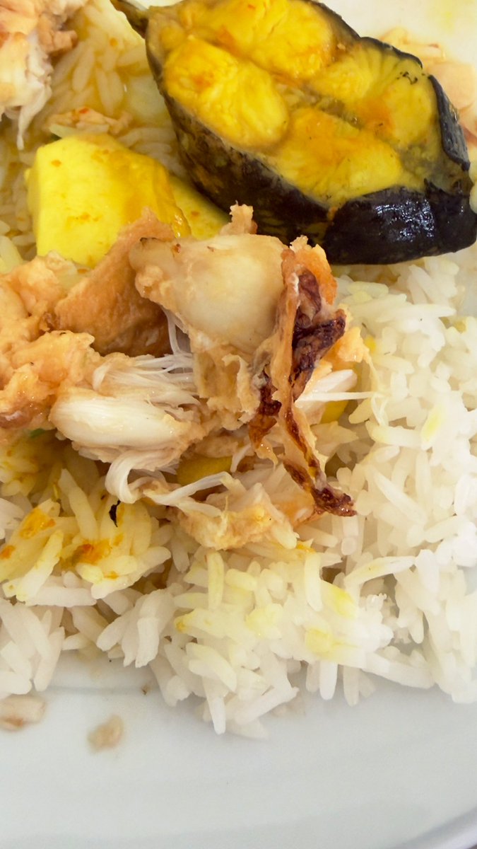 MeowwwMeowwwww🔑 tweet media