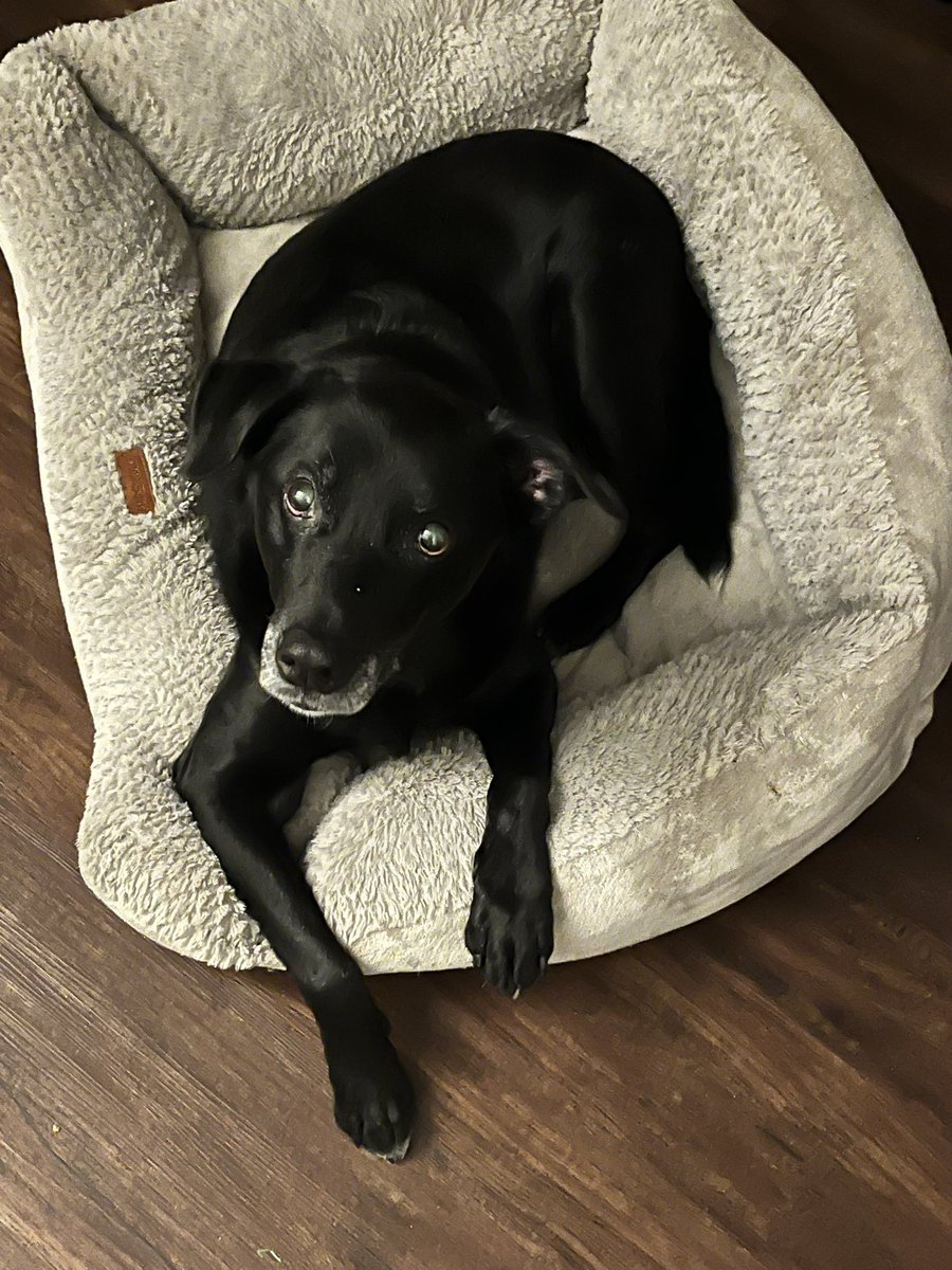 Brett Blizinski tweet media