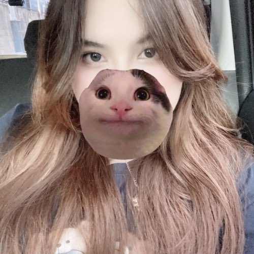 mabi 🦆 tweet media