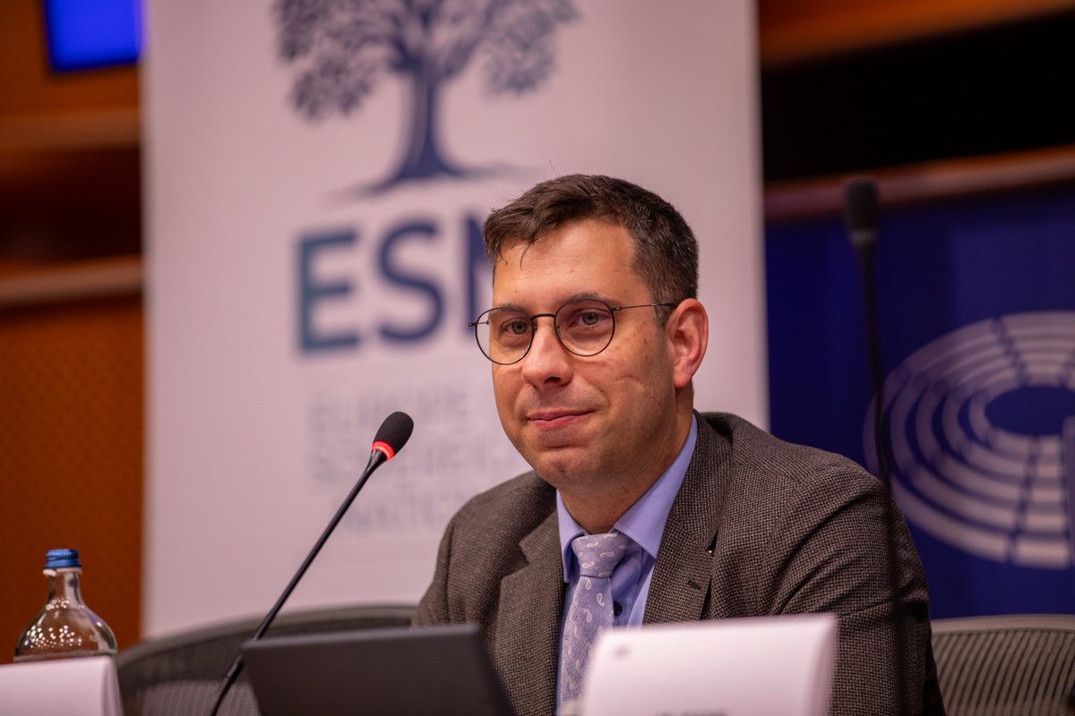 AfD im EU-Parlament tweet media